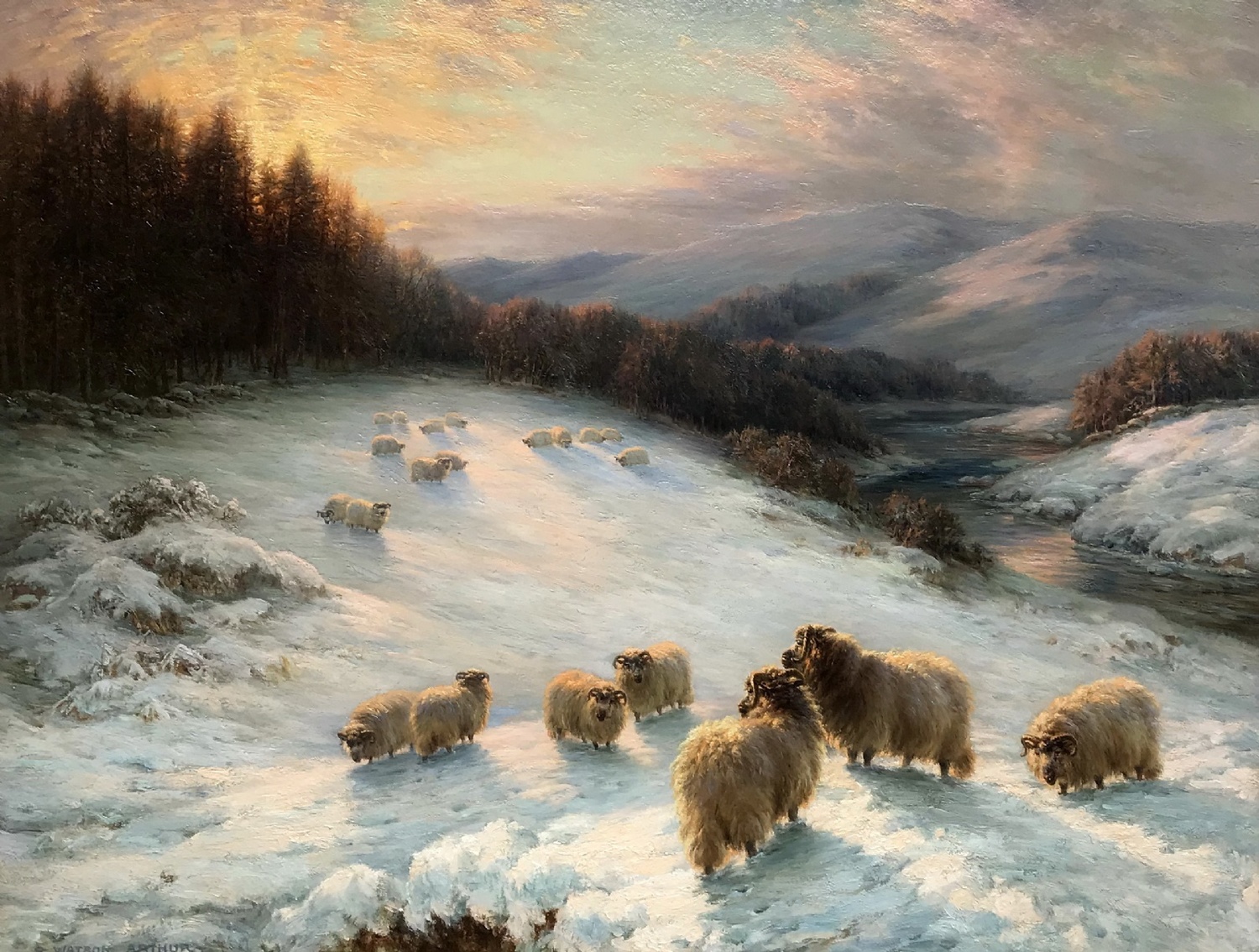 Sheep at Winter Sunset