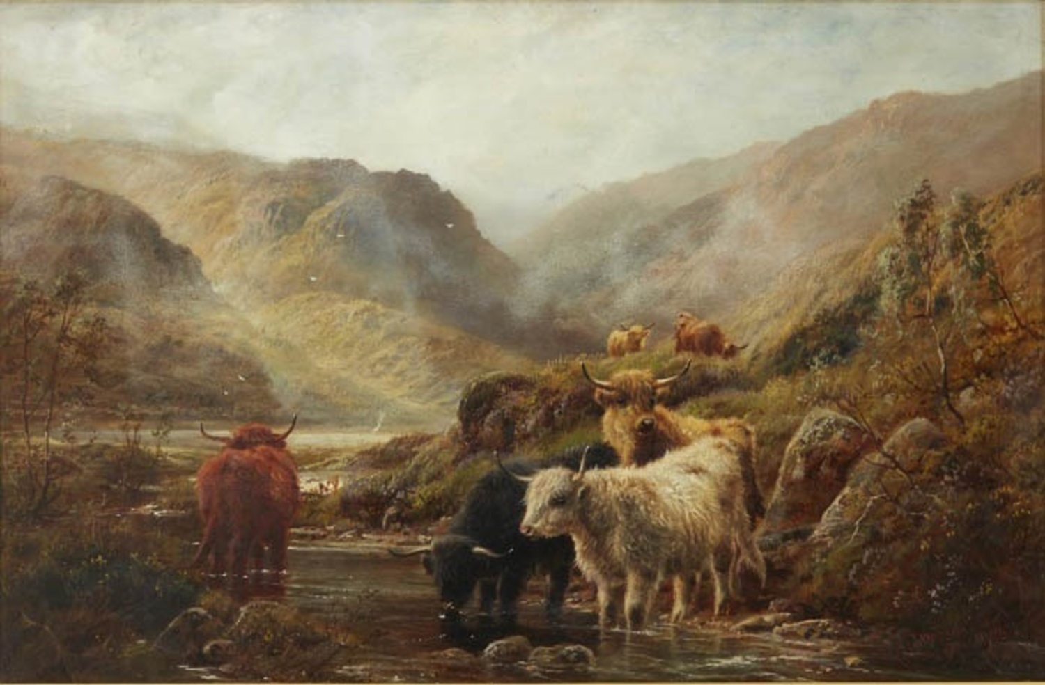 Highland Cattle by a Mountain Stream