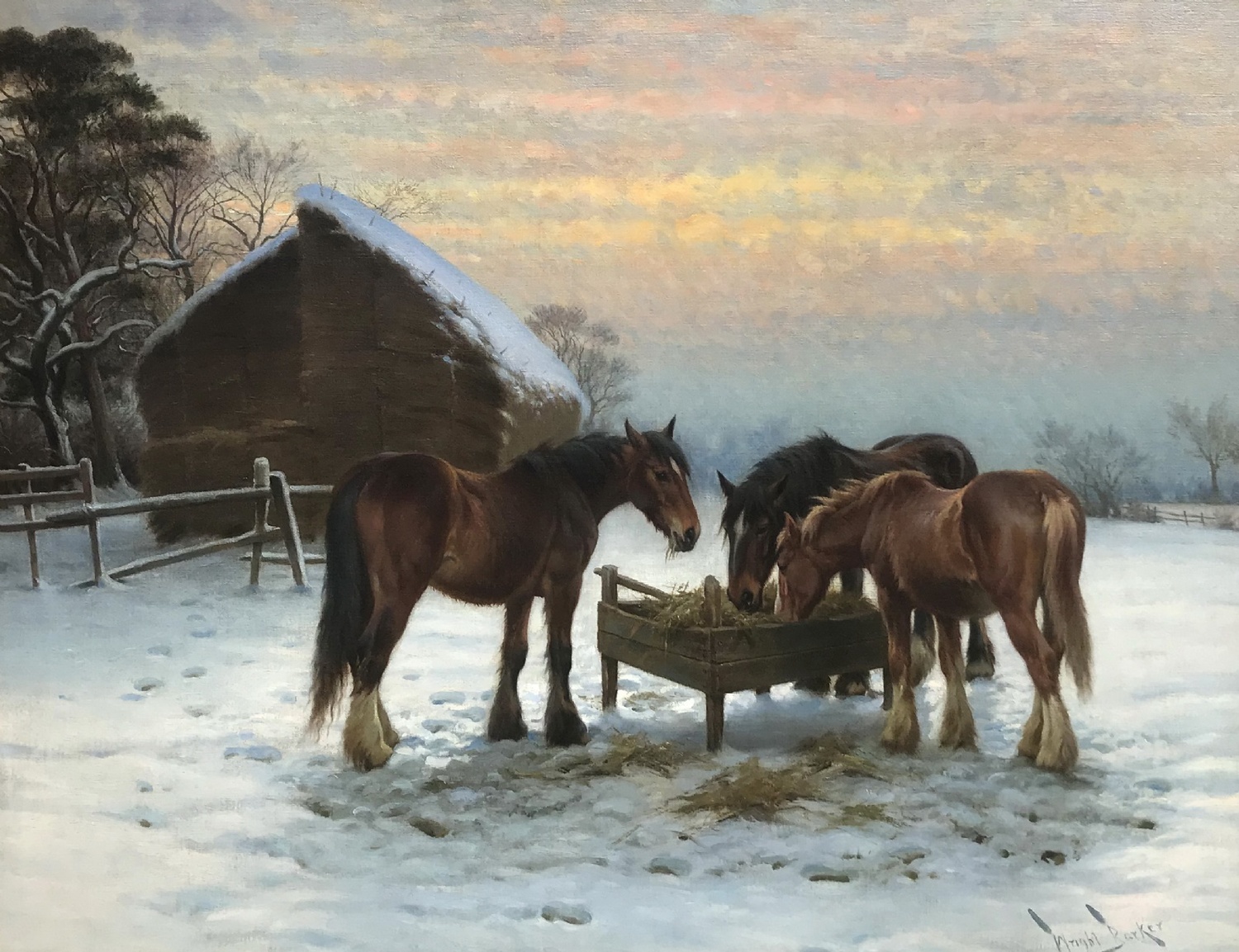 Feeding Horses at Sunset