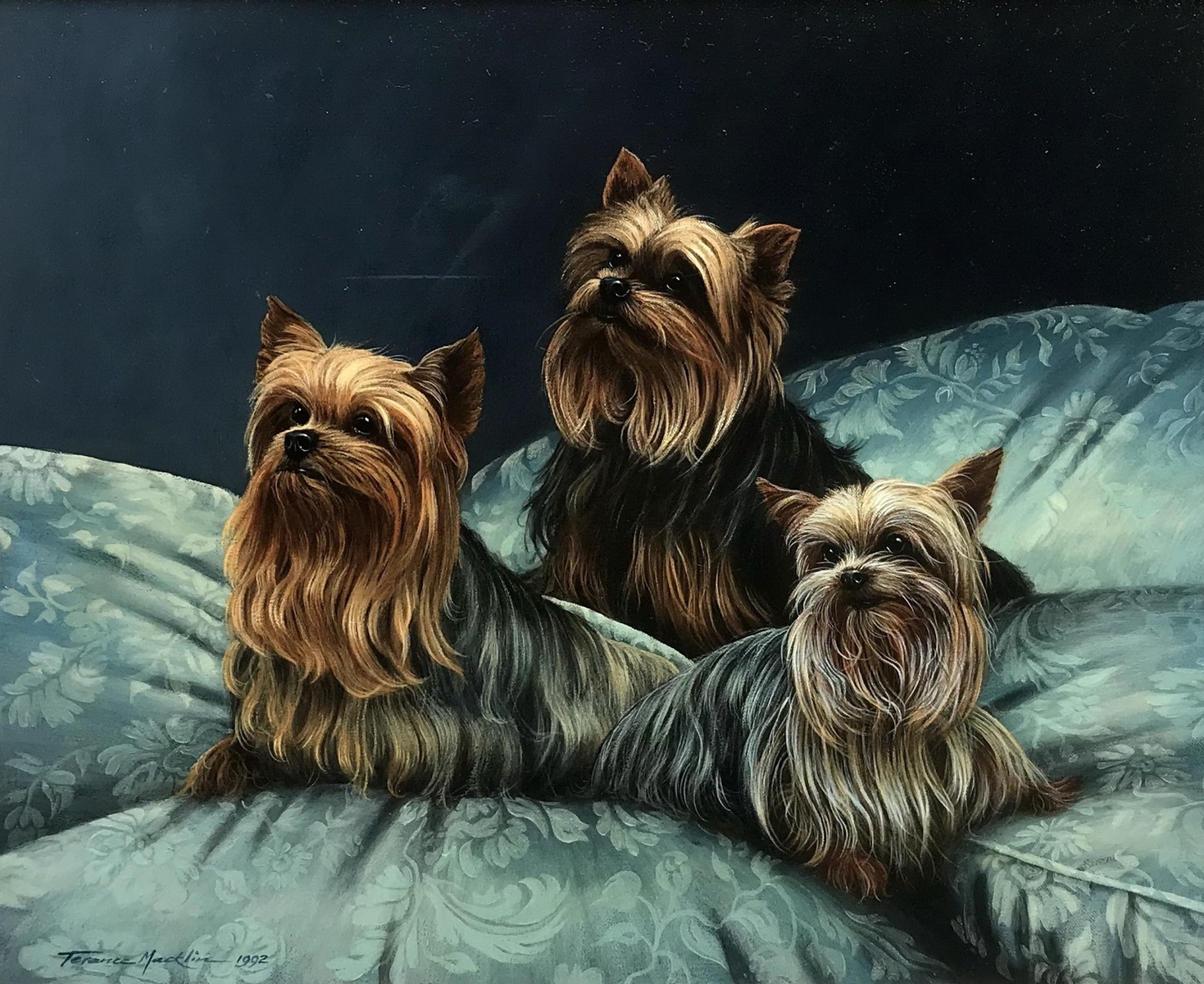 Three Terriers