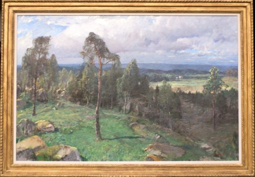 Landscape - Image 2