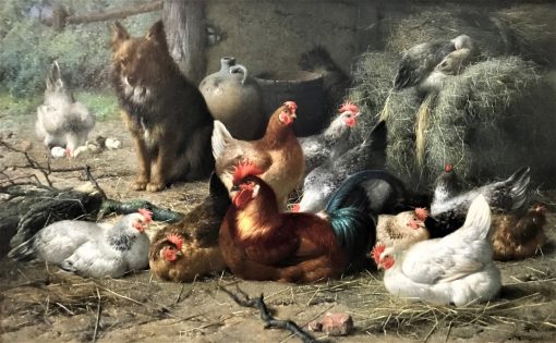 Maes E R - Dog in chicken shed