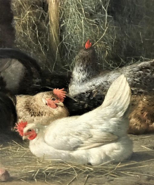 Maes E R - Dog in chicken shed - Image 4