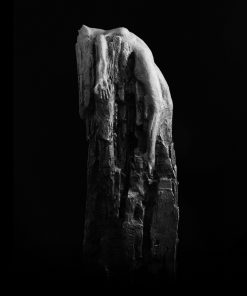 The Emergence - Bronze