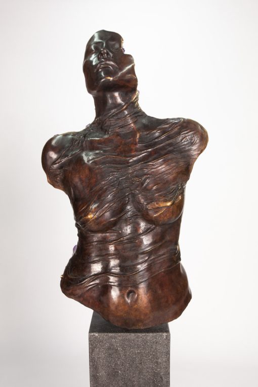 LIMINAL STATE -  Full Torso Bronze with Amethyst Crystals - Image 4