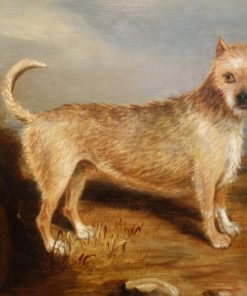 Terrier