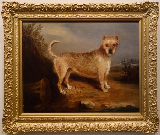 Terrier - Image 2