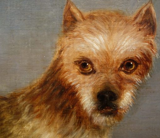 Terrier - Image 3
