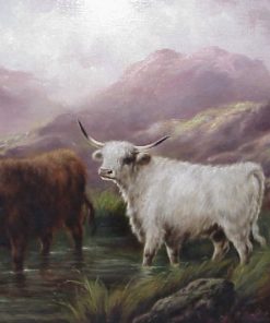 Highland Cattle In A Mountainous Landscape