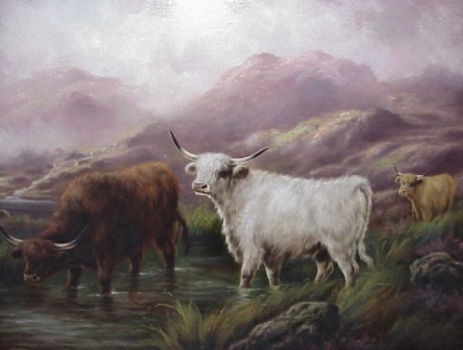 Highland Cattle In A Mountainous Landscape