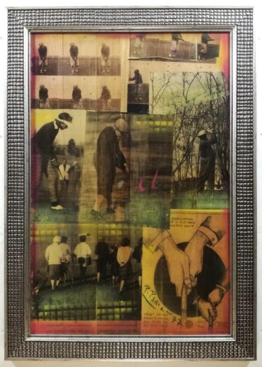 GOLF PROS NO 3455. FRUITWOOD CONCEPT. ARGENTINA ONLY. - Image 2