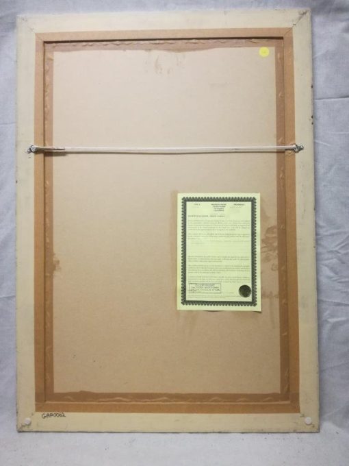 GOLF PROS NO 3455. FRUITWOOD CONCEPT. ARGENTINA ONLY. - Image 4