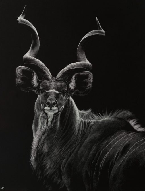 The Patriarch - Image 2