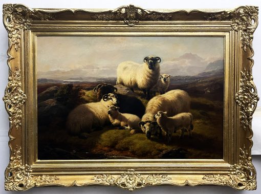 Mountain Sheep - Image 2
