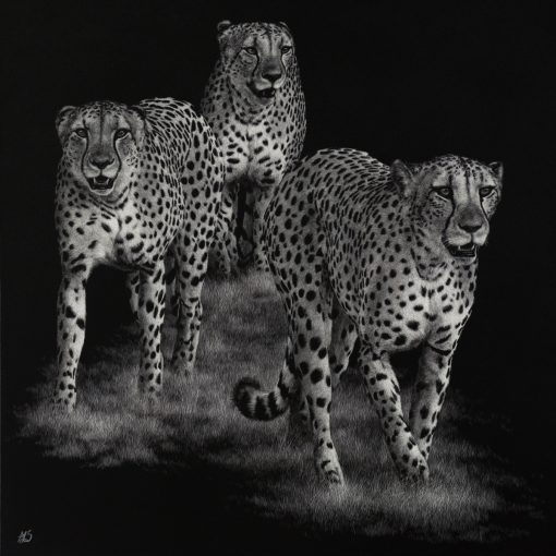The Coalition