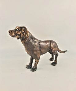 The Attentive Hound