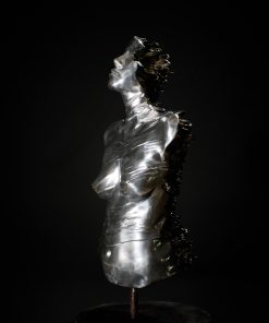 LIMINAL STATE -  Full torso Aluminium Smokey