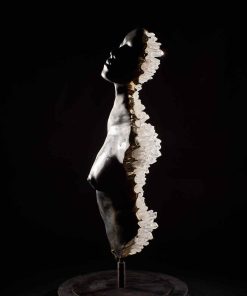 LIMINAL STATE - Half torso Gray Bronze torso clear quartz