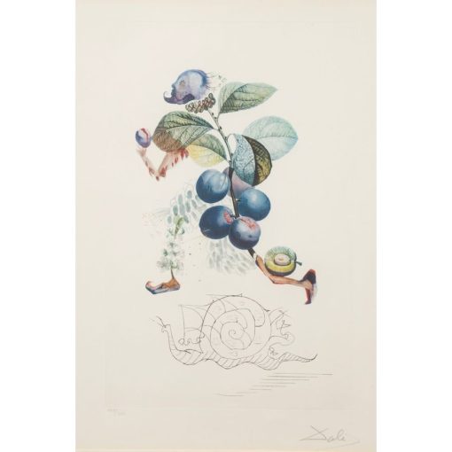Prunier Hatif - Hasty Plum 142/200