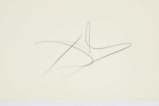 Royal Insect Metamorphosis Signed Lithograph in 4 pieces - Image 4