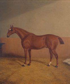 Portrait of the horse Swallow