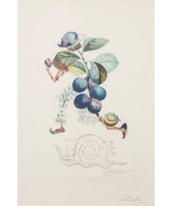 Prunier Hatif - Hasty Plum 142/200