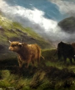 Daniel Sherrin - Highland Cattle