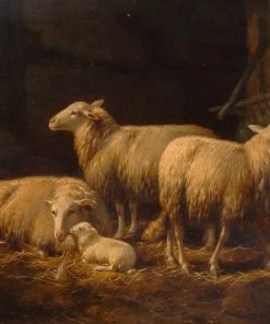 Sheep in Barn