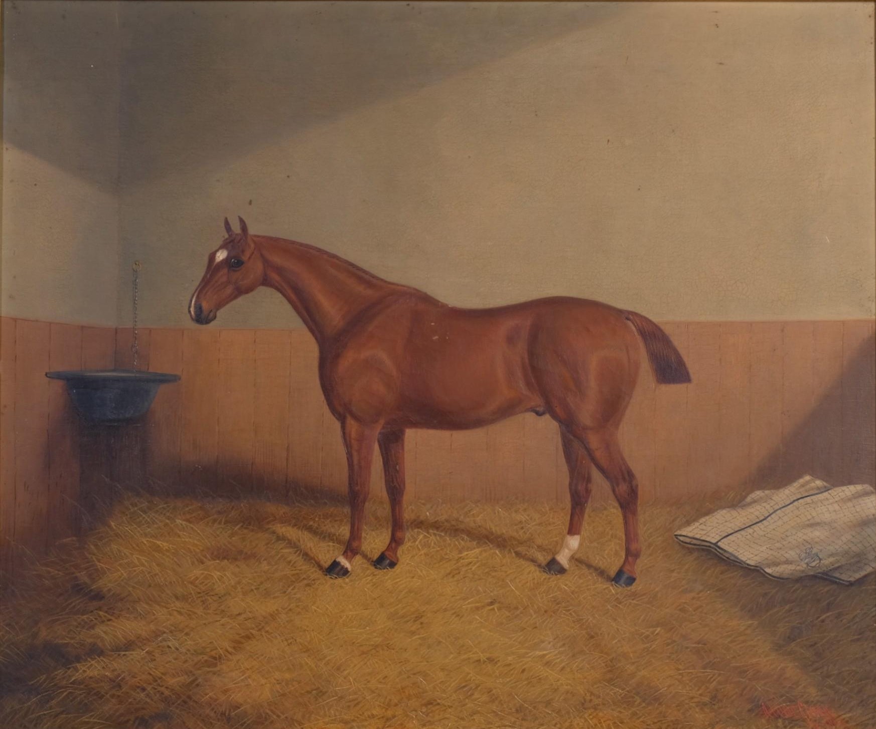 Portrait of the horse Swallow