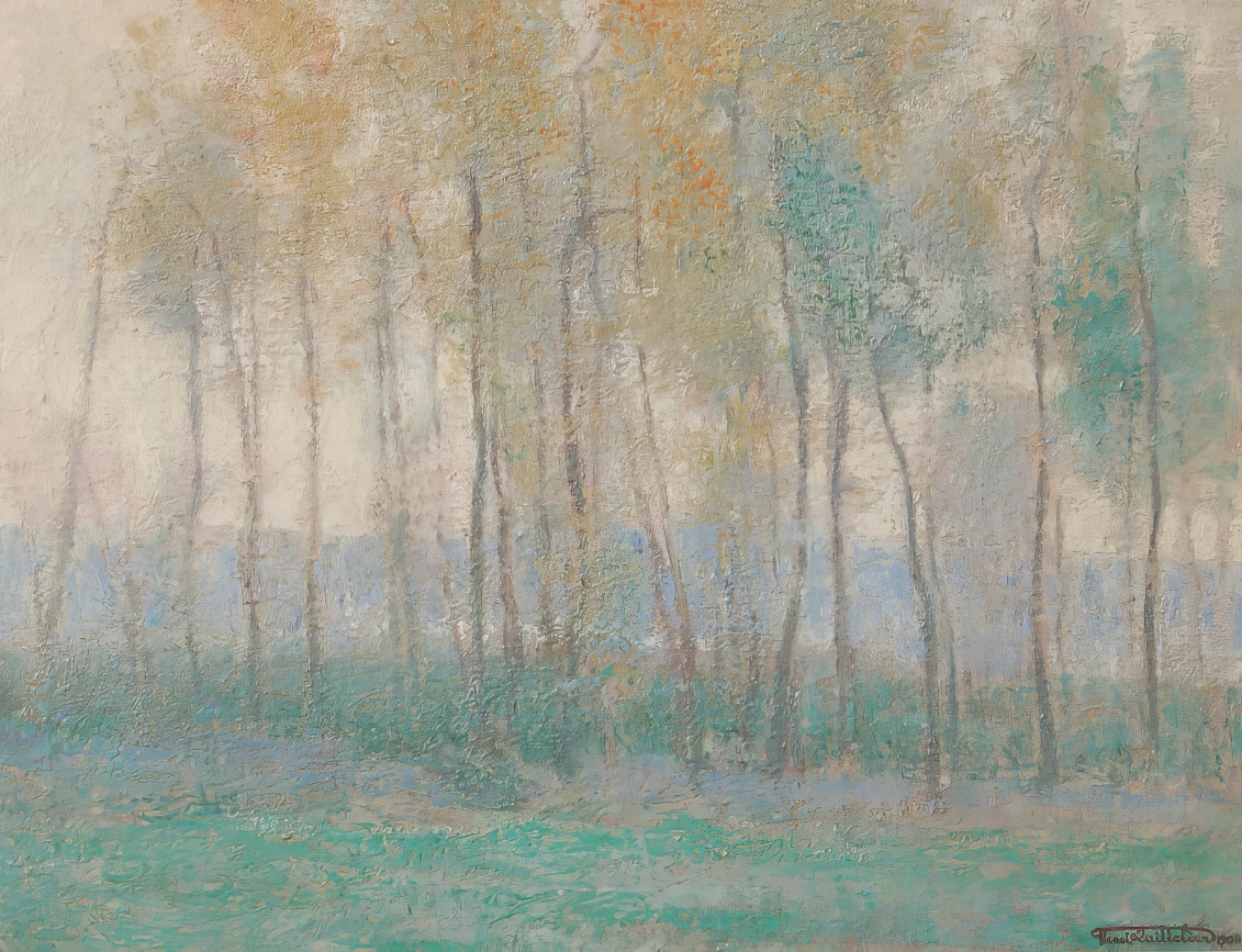 Brume D' Automne