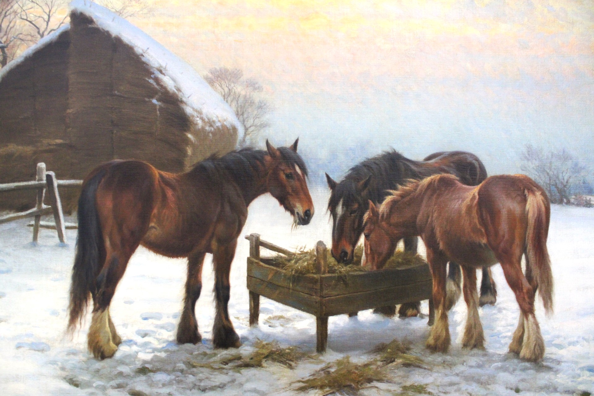 Feeding Horses at Sunset