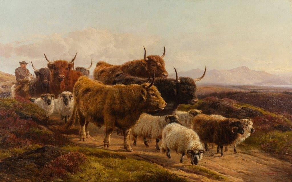 William Watson - Highland Cattle & Sheep