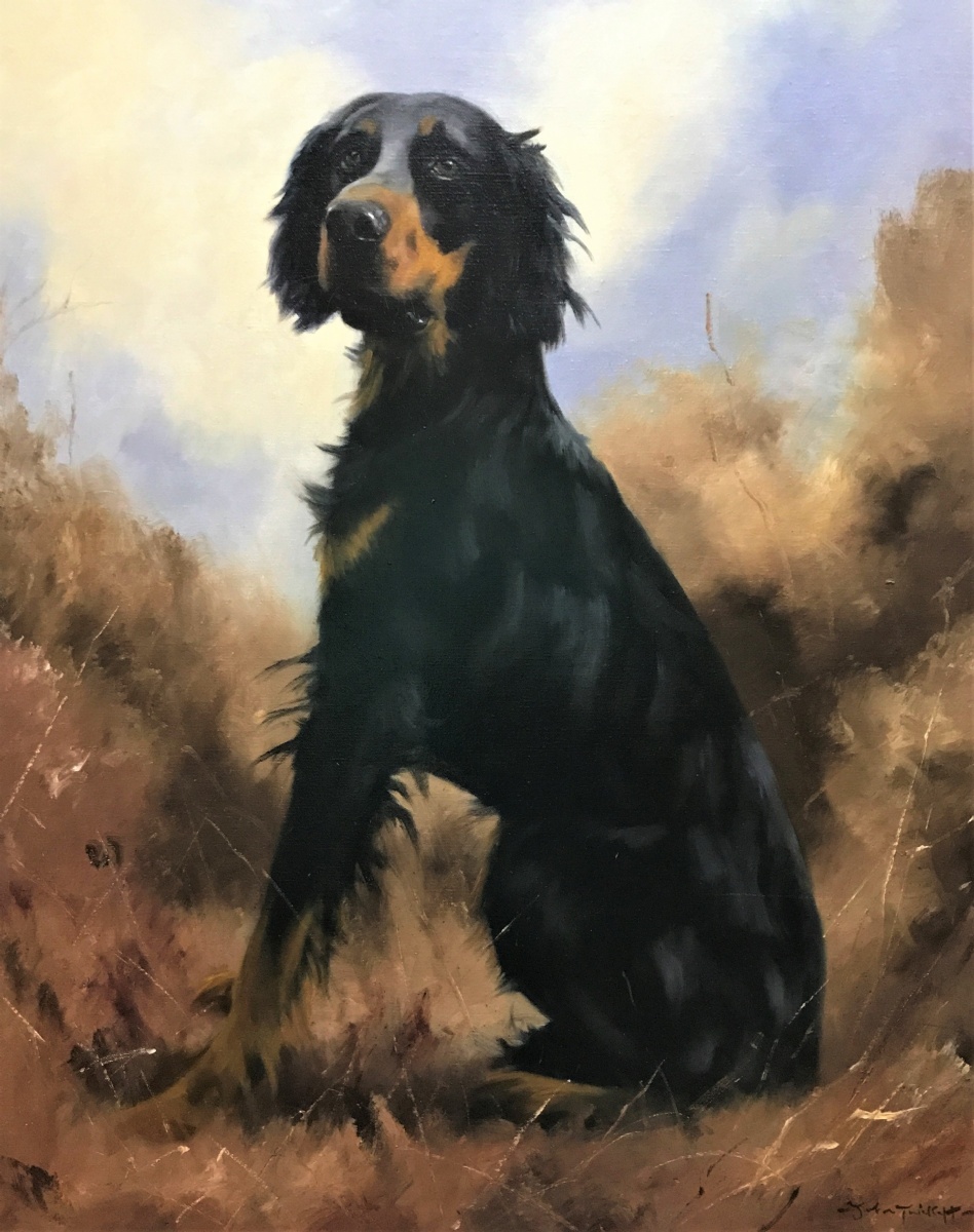 John Trickett - Study of a Gordon Setter