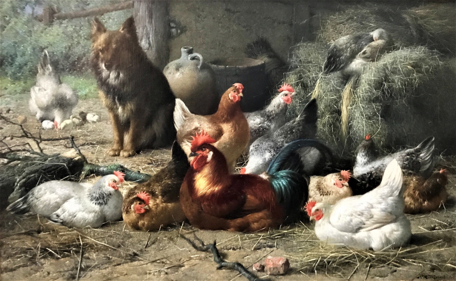 Maes E R - Dog in chicken shed