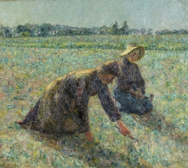 Albert Mathys - The Weedes